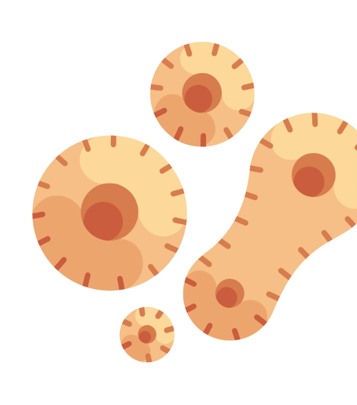 Abstract illustration of beige and orange circular shapes on a white background, resembling microscopic cells or virus particles.