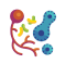 Illustration of colorful microorganisms, including orange cells with branches, yellow bacteria, and blue circular organisms, on a white background.