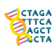 Stylized DNA strand with colorful base pairs alongside repeating text "CTA," "GTCA.