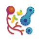 Illustration of colorful microbes, including a red branching structure, green bacteria, a blue oblong shape with dark spots, and a smaller blue circle.